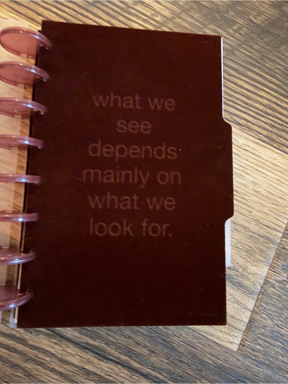 Cloth & Paper Disc Planner Project Habit Tracker Burgundy Minimalist - Picture 2 of 16
